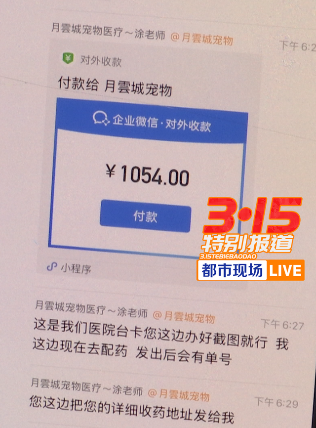 揭线上宠物医疗无证行医乱象 宠物医疗背后的黑幕(图2)