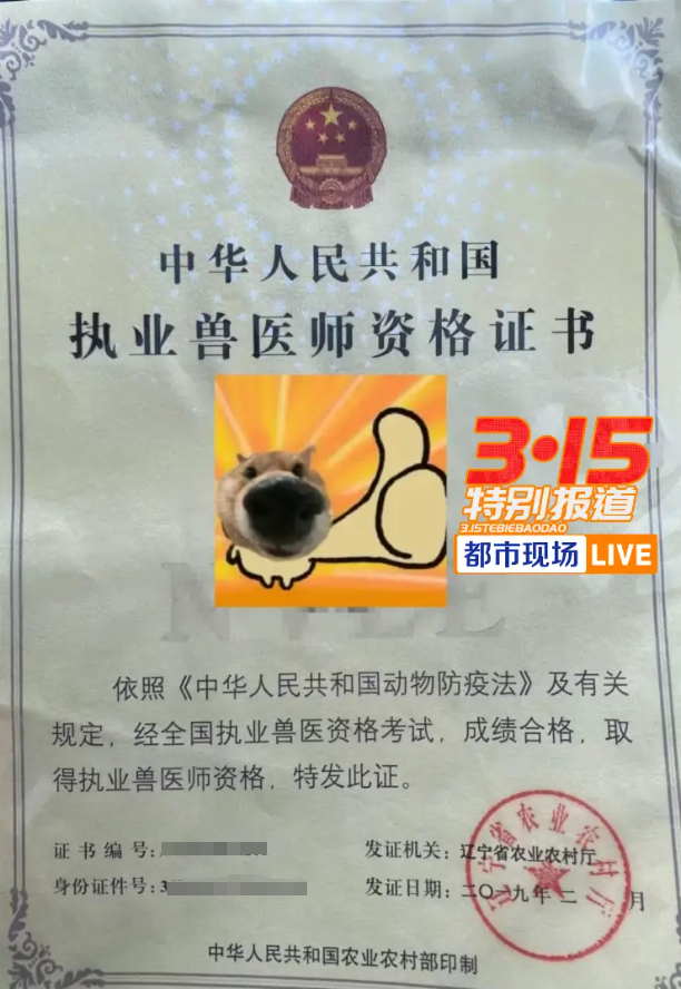 揭线上宠物医疗无证行医乱象 宠物医疗背后的黑幕(图9)