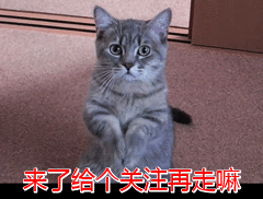 315曝光狗粮黑幕选好狗粮看准这7步！(图12)