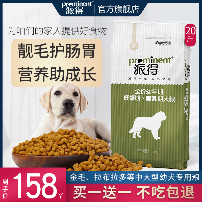 这几种“毁灭式喂狗”对狗伤害很大劝你别犯！(图1)
