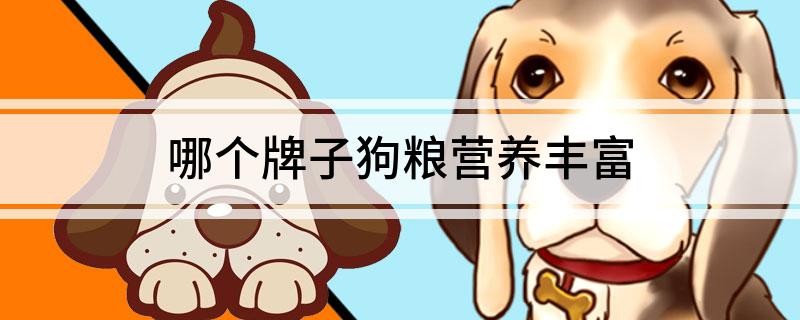哪个牌子狗粮营养丰富(图1)