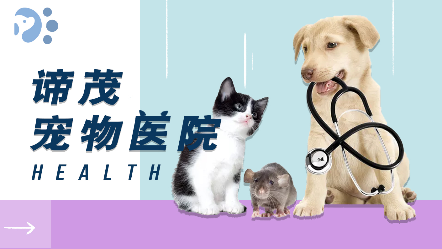售卖“星期猫”“星期狗”12人获刑！如何破解宠物消费陷阱(图1)