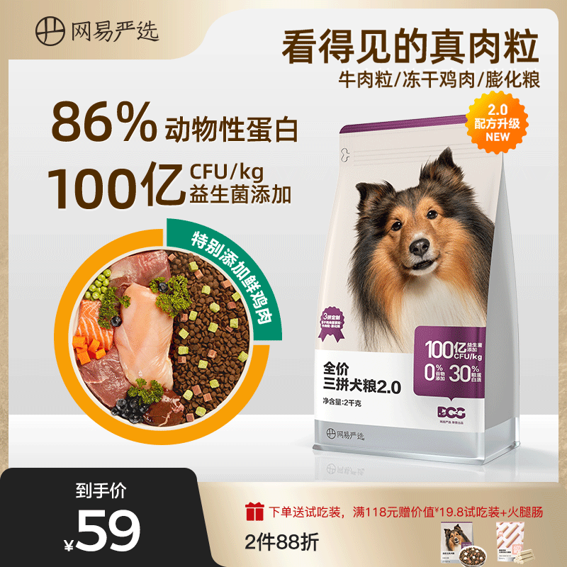 适当给宠物狗补充四类狗粮(图1)