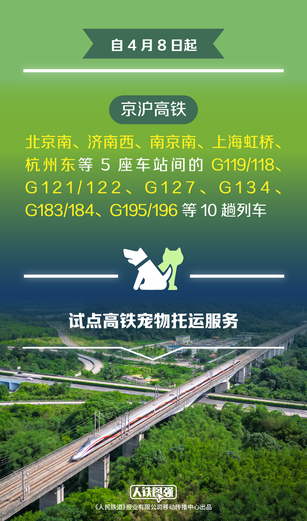 看丹观察丨12306推出宠物托运对体重有要求！网友：求全国推广！(图5)