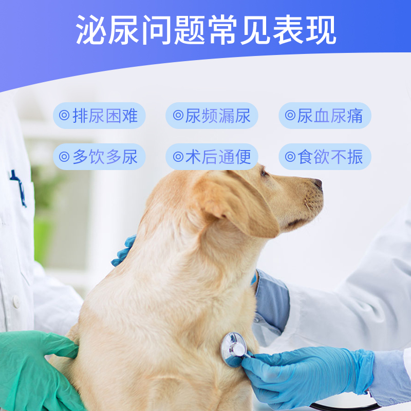 宠域talk 24小时无人仓如何守护宠物健康？记者实测美团闪购“毛球药局”(图1)