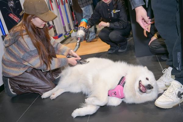 九游体育：戴森发布《中国养宠家庭健康清洁电器白皮书》 助力构建健康舒适的“宠爱家”(图4)