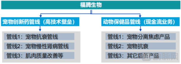 九游体育：汪星人长寿有望？数十亿资金涌向宠物“抗衰”研发赛道(图2)