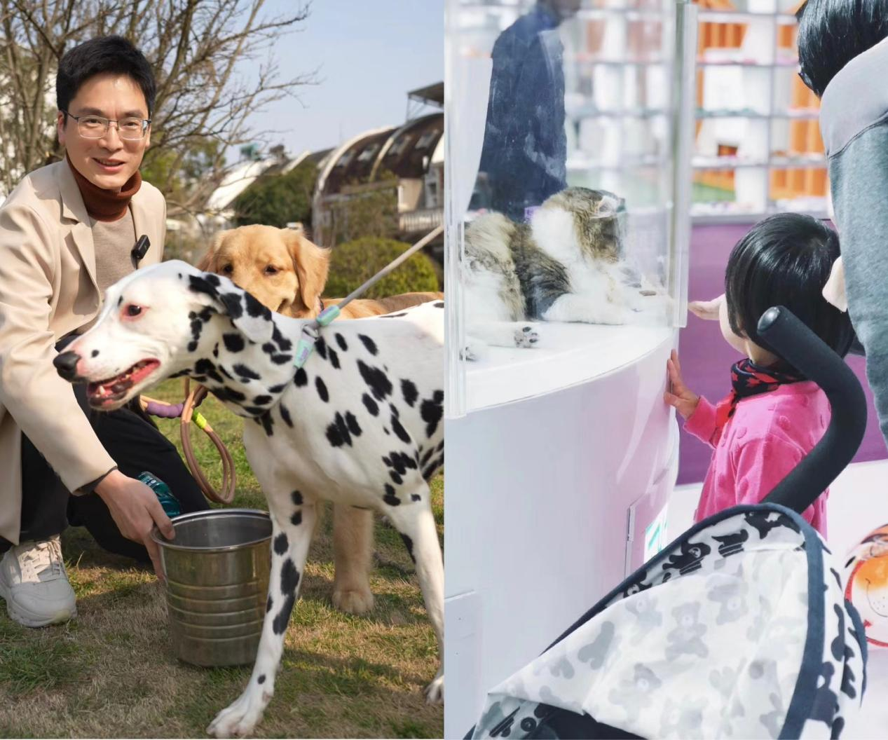 九游app：新闻有观点·行业洞察｜把宠物当人养“它经济”如何撬动千亿市场？(图2)