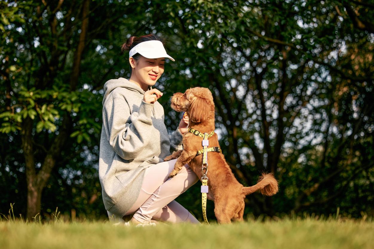 同远望谷一起来看：RFID焕新智能宠物喂养新方式(图4)