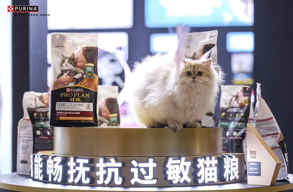 九游体育：科学营养、一生免疫冠能携宠物全生命周期健康解决方案闪耀它博会(图2)