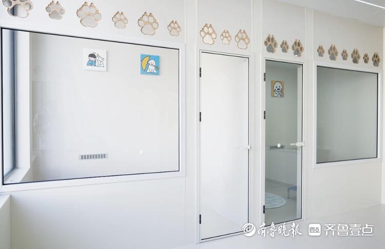 “五一”小长假带火宠物寄养济南有商家日收费近千元_今日头条_大众网(图3)