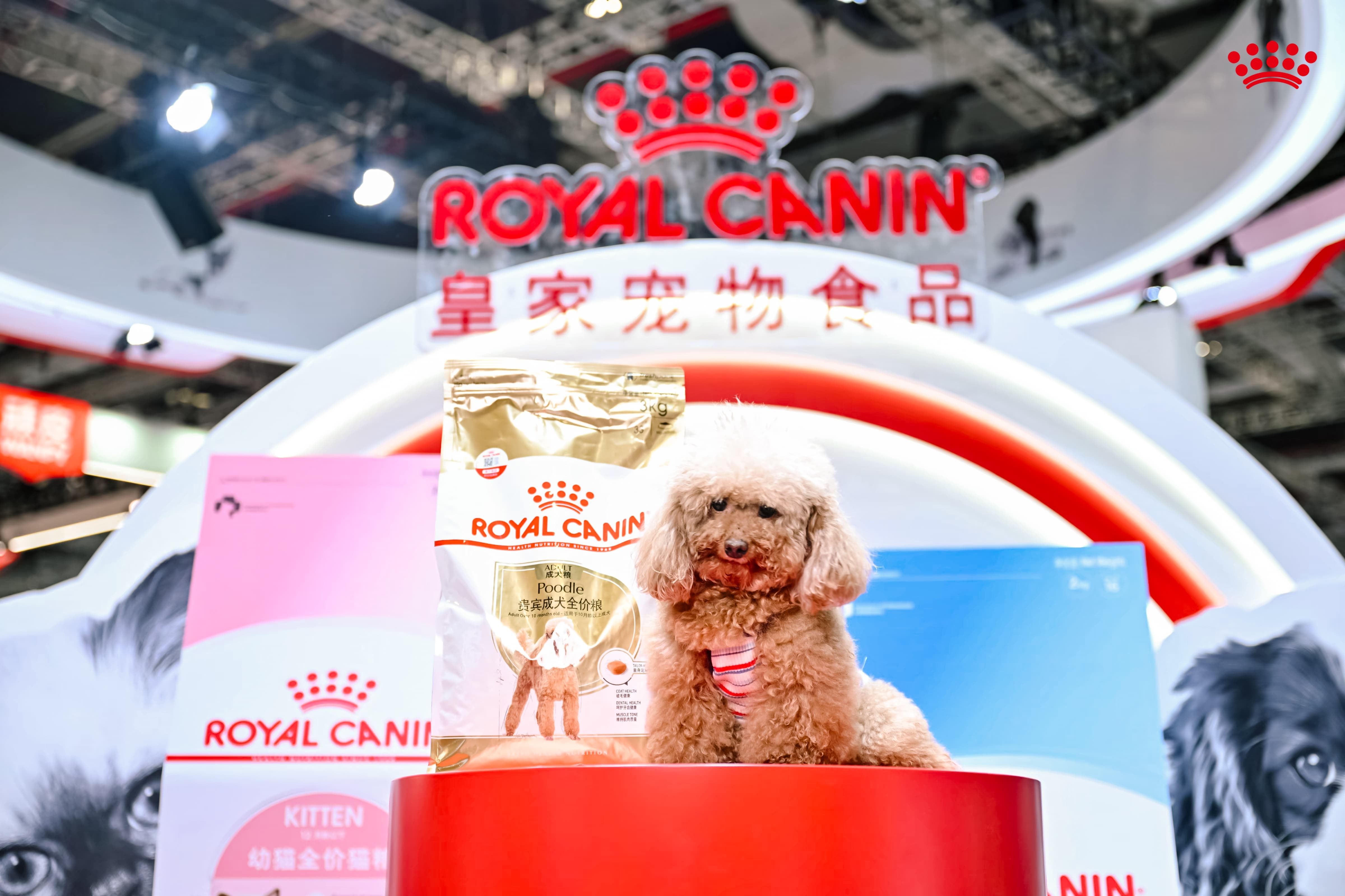 九游体育：皇家以“跨界联动+专业赋能”亮相它博会“击掌为萌”共筑宠物健康新生态(图2)