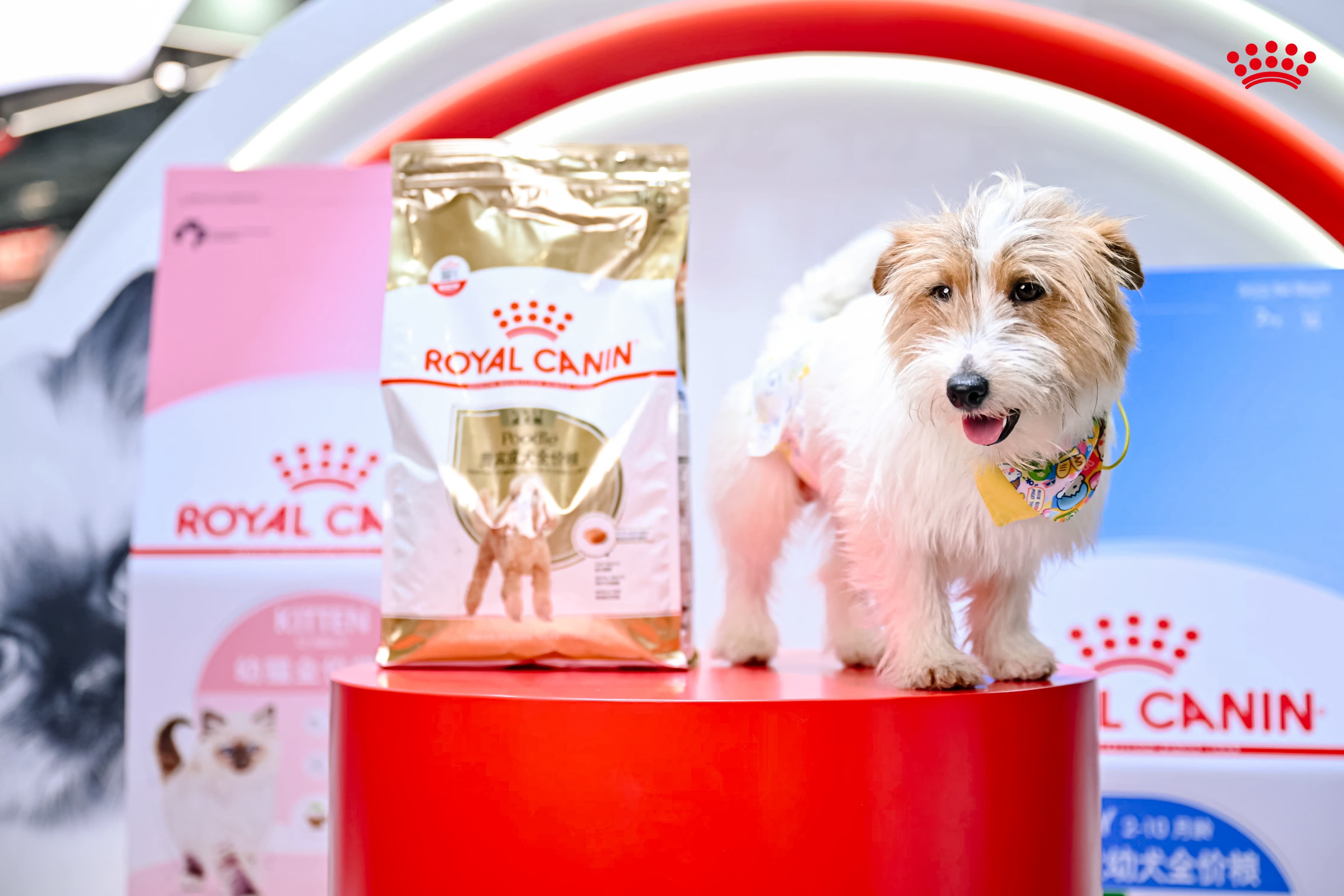 九游体育：皇家以“跨界联动+专业赋能”亮相它博会“击掌为萌”共筑宠物健康新生态(图3)