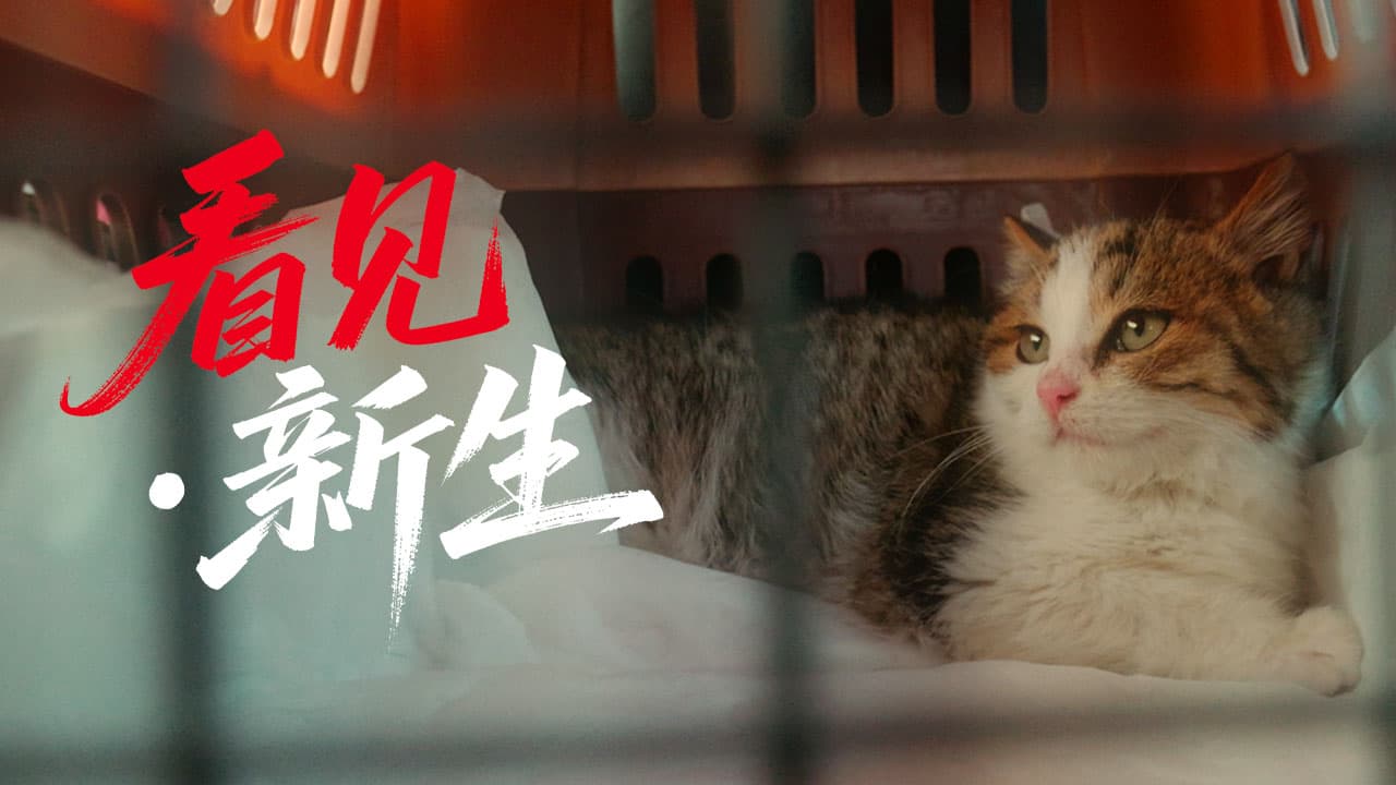 九游体育：皇家以“跨界联动+专业赋能”亮相它博会“击掌为萌”共筑宠物健康新生态(图4)