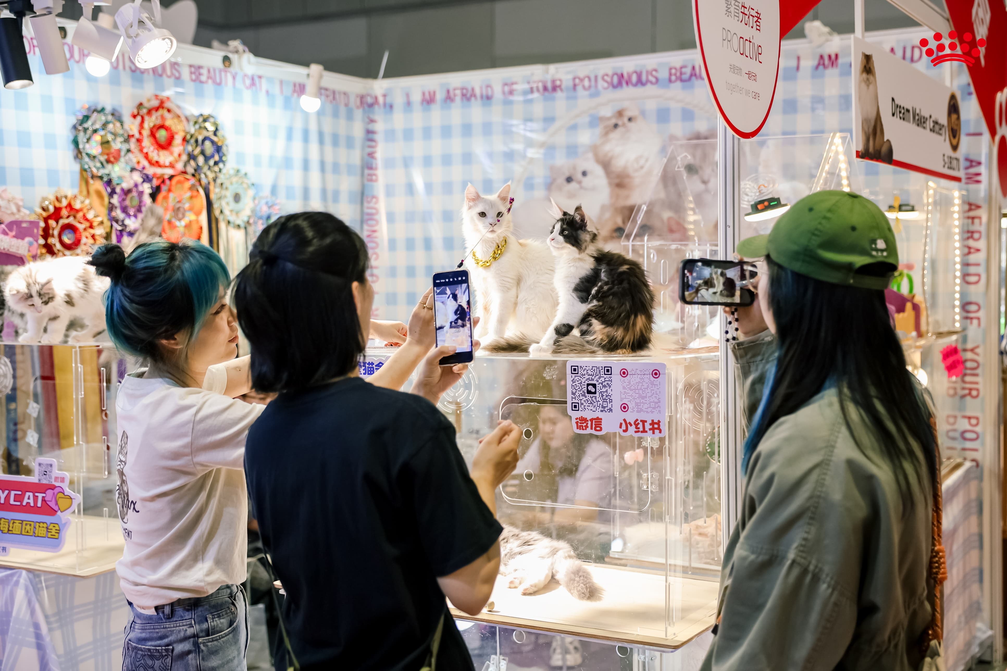 九游体育：皇家以“跨界联动+专业赋能”亮相它博会“击掌为萌”共筑宠物健康新生态(图7)
