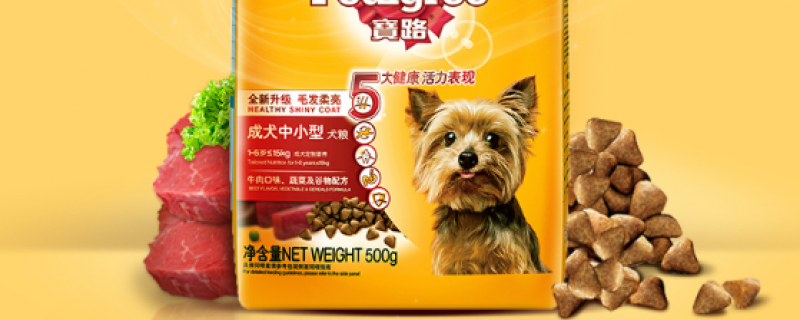 为老年犬“撑腰”新国货宠食品牌比乐发布“比生老友”公益企划(图1)