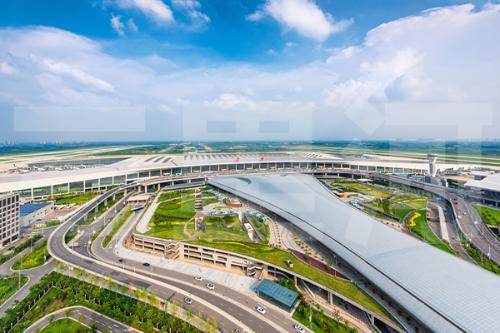 宠物经济爆发如何监管活体交易？(图2)