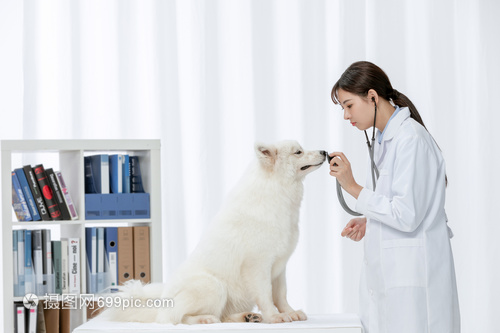 比人金贵！宠物医疗暴利背后到底该如何监管？！(图1)