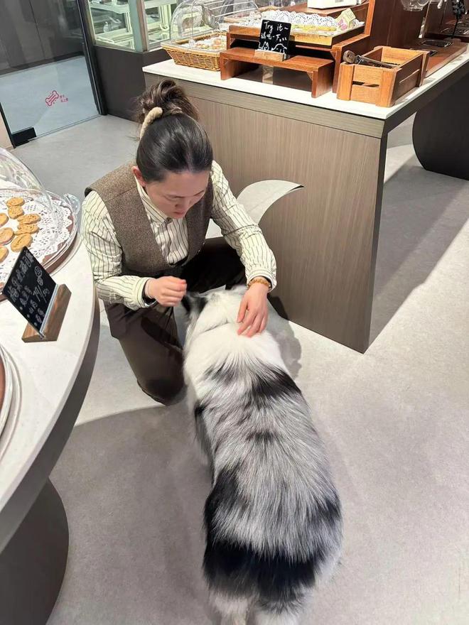 九游体育：对话Wagtopia：基于宠物人们自然生长出社群(图7)