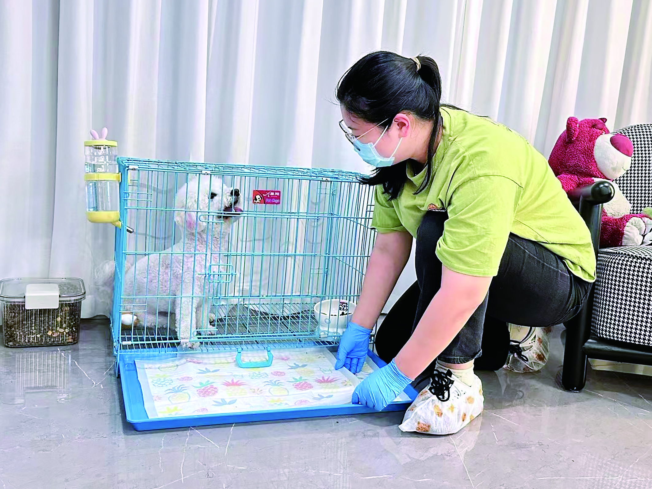 泰州：给“毛孩子”当贴心保姆 “宠物管家”成新兴职业(图3)