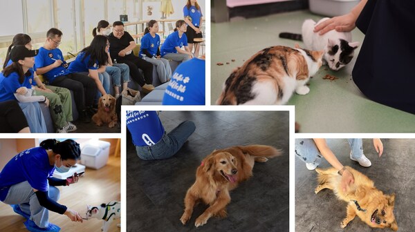 玛氏发布全球调查结果83%的宠主认为宠物对心理健康有积极影响(图3)