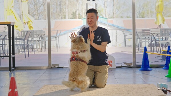 玛氏发布全球调查结果83%的宠主认为宠物对心理健康有积极影响(图4)