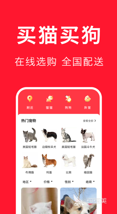 养宠物必备app排行榜 好用的养宠物软件大全集锦(图2)