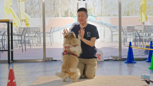 九游官网入口：玛氏中国携手多方推公益项目以科学守护人宠情感联结与心理健康(图4)