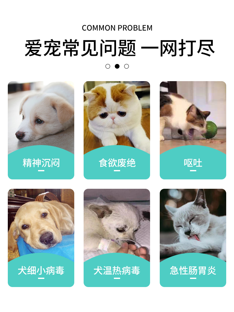邂逅咖威洛深海鱼油软胶囊开启宠物健康之旅(图1)