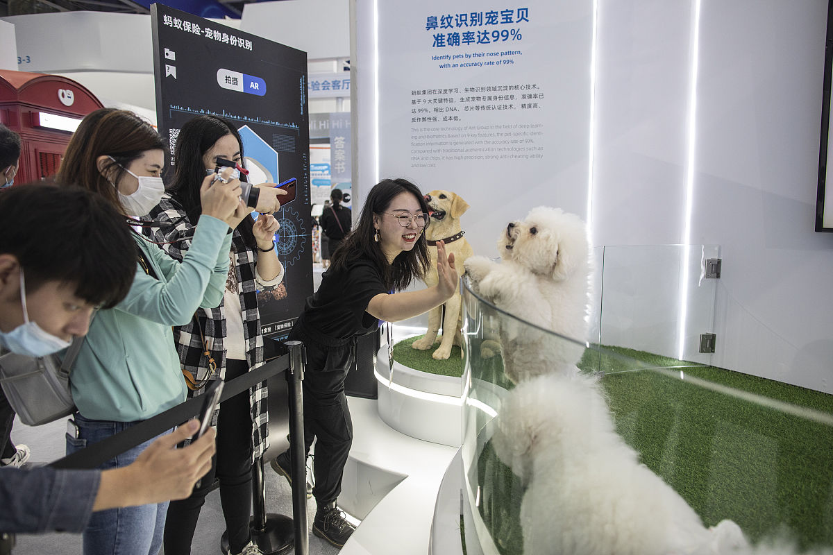 九游体育：携宠出境更便捷！汕头市民可线上自主申请宠物出境检疫手续(图1)