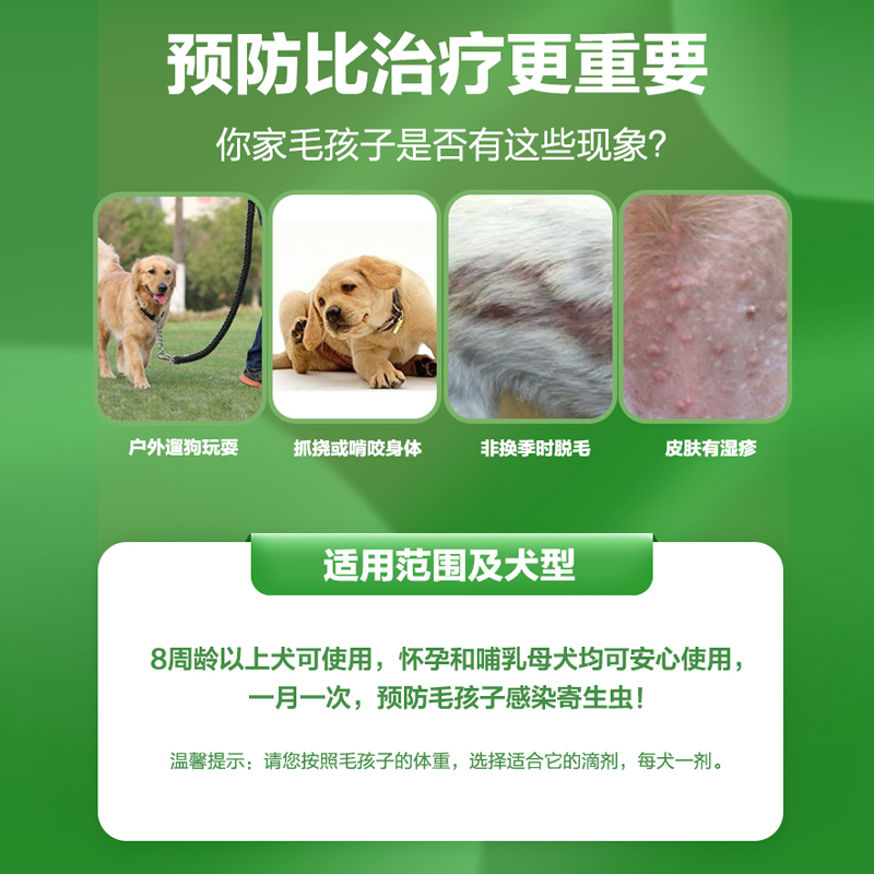 每年数百万只宠物死亡“身后事”该如何对待？(图1)