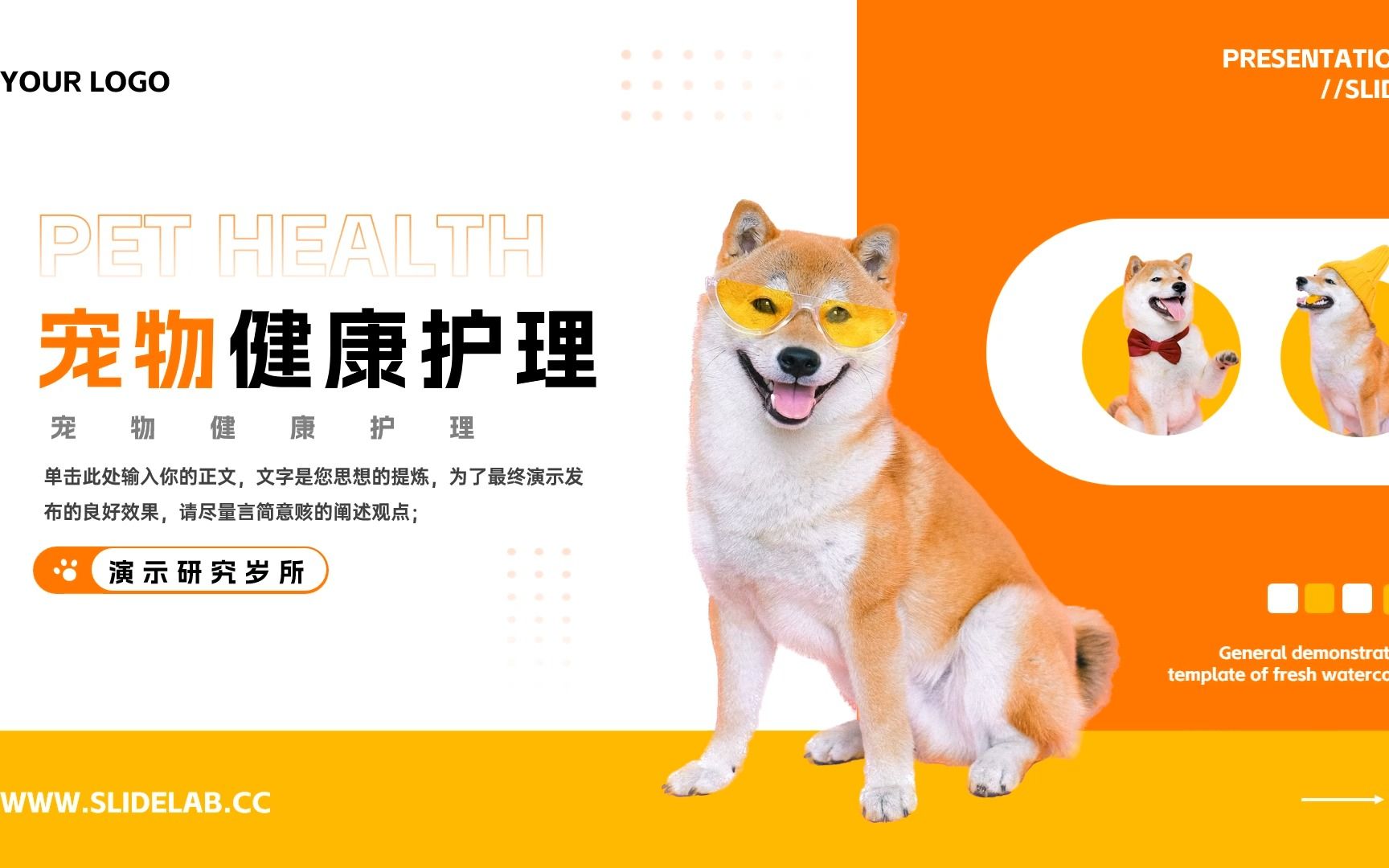 高铁宠物托运服务试点范围今起扩大(图1)