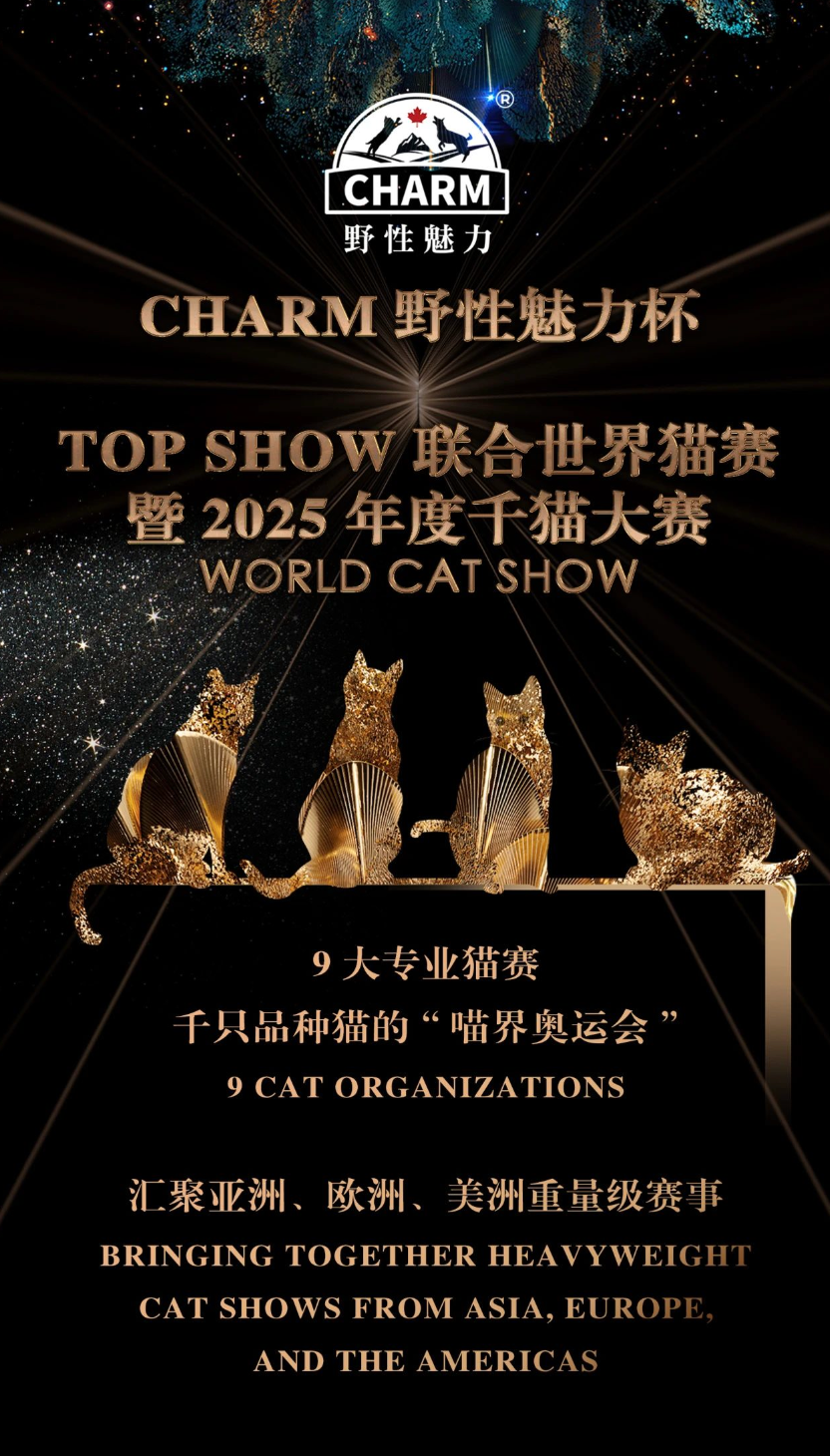 「CHARM 野性魅力杯」 TOP SHOW 联合世界猫赛暨 2025 年度千猫大会即将闪耀青岛(图1)
