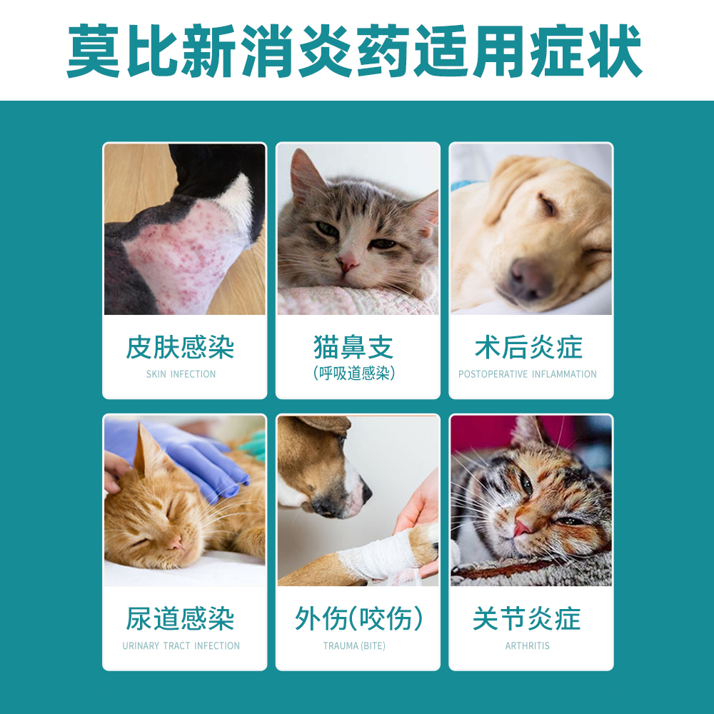 “它经济”暑期催热携宠游(图1)