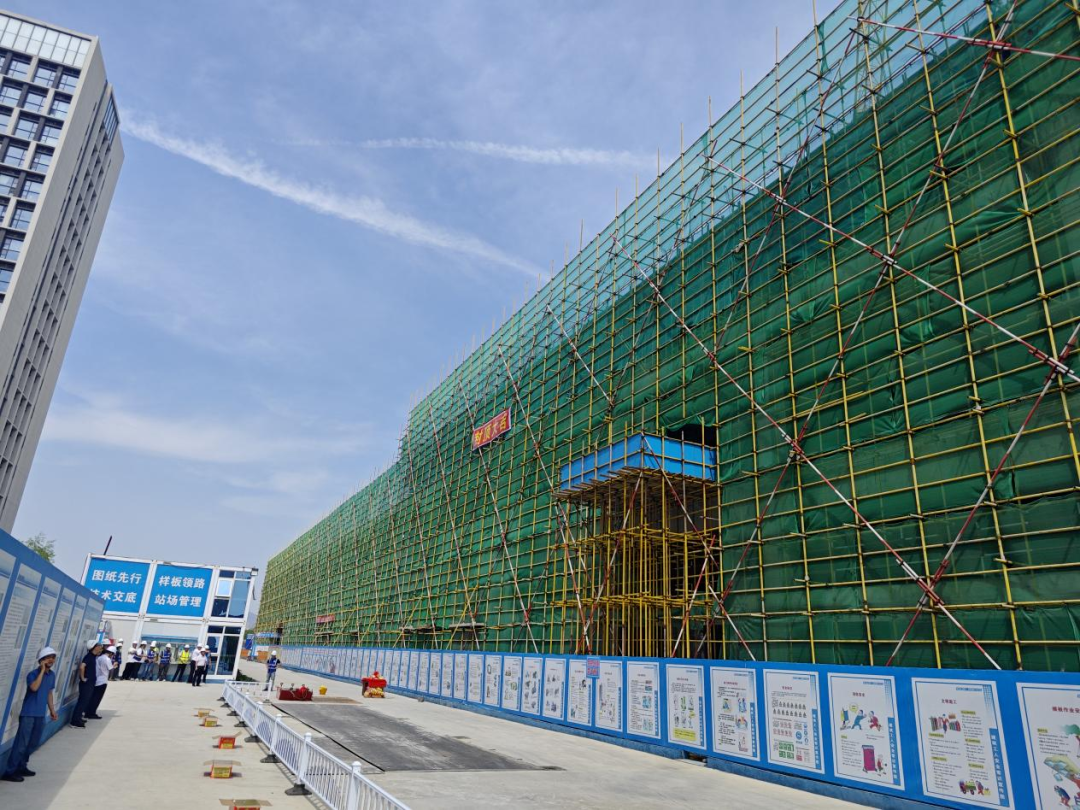 3亿元投向宠物：青岛超级工厂封顶(图1)