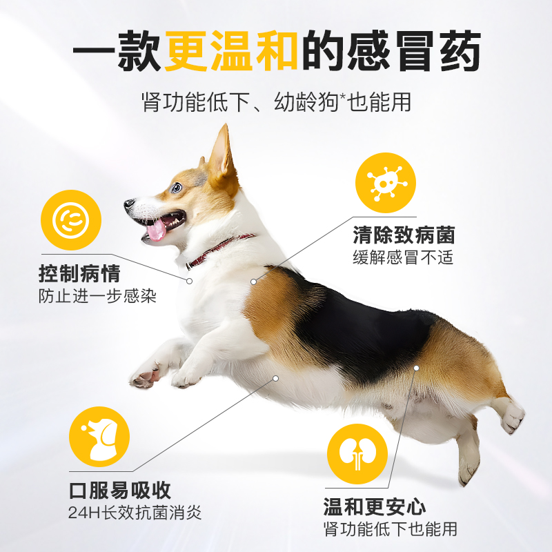 九游app：顺风车违规托运宠物犬遇车祸丢失法院判平台免责承运人主责(图1)
