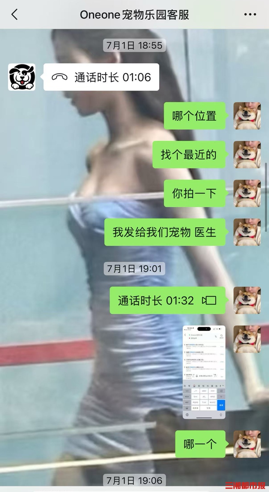 九游体育：长沙一柴犬在寄养店蹊跷死亡毛孩子的安全如何守护(图1)