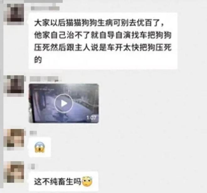 手术失败撞死边牧的宠物店社会性死亡了：众怒难消生意也凉凉了(图1)