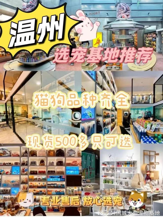 九游体育：温州最大的宠物市场在哪里？这里安全可靠能挑选心仪的宠物哦(图1)