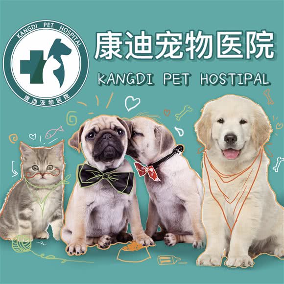 中国宠物食品行业发展现状分析与未来展望(图1)