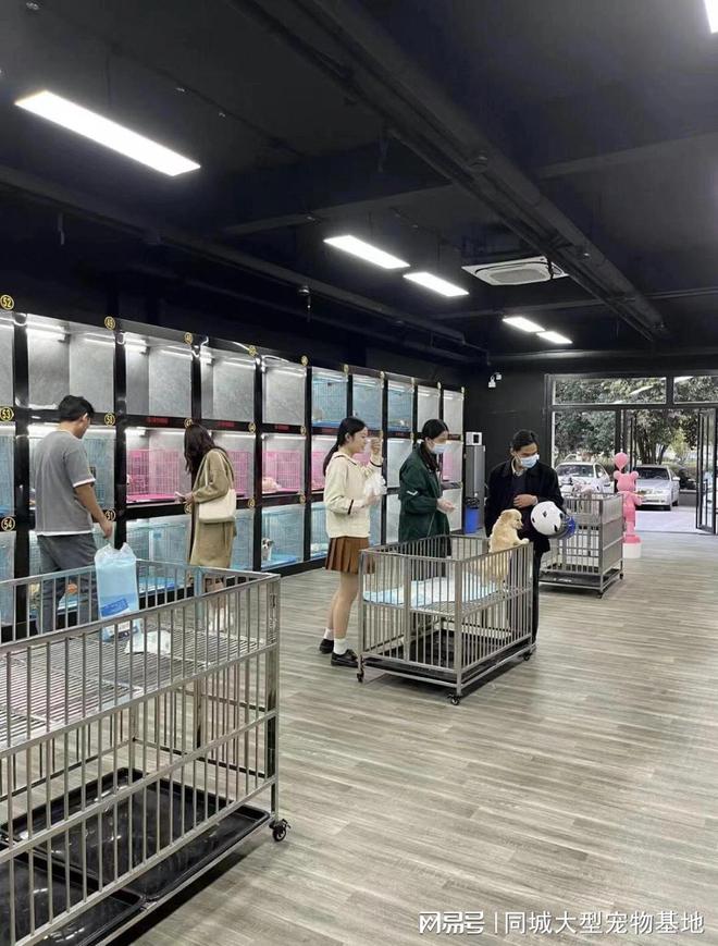 九游体育：无锡哪里买宠物靠谱安全？这里有你想要的还能亲自挑选宠物哦(图4)