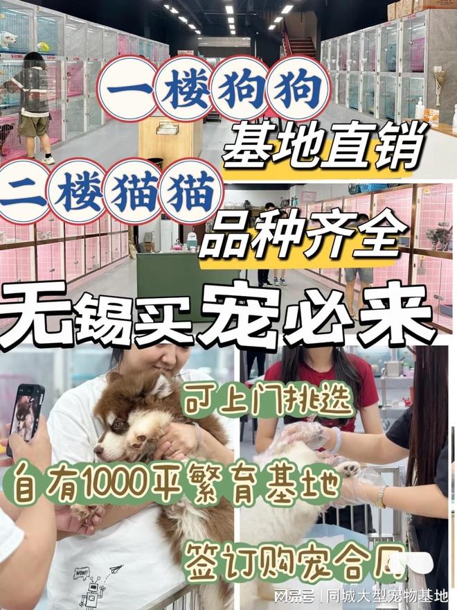 九游体育：无锡哪里买宠物靠谱安全？这里有你想要的还能亲自挑选宠物哦(图1)