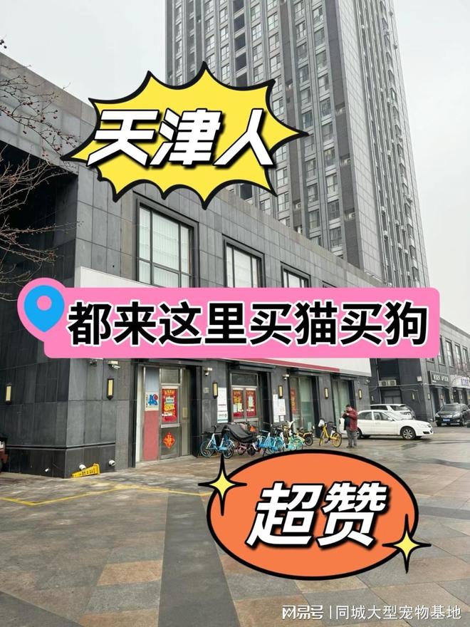 九游体育：天津哪里有正规宠物基地？包你安心能当面挑选自己心仪的宠物(图1)