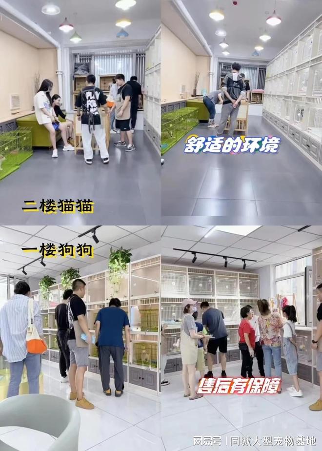 郑州哪里买宠物靠谱安全？这里有你想要的还能亲自挑选宠物哦(图3)