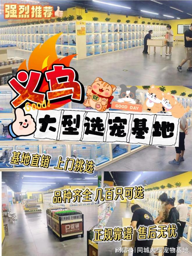 义乌哪里有正规宠物基地？包你安心能当面挑选自己心仪的宠物(图1)
