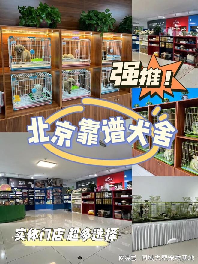 北京哪里有正规宠物基地？包你安心能当面挑选自己心仪的宠物(图1)