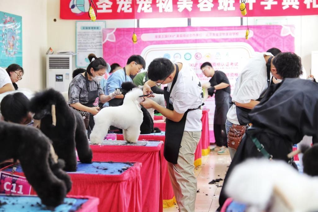 九游体育：千亿市场的人才焦虑：首个宠物本科专业在粤招生投档超600分高招录取面面观(图2)
