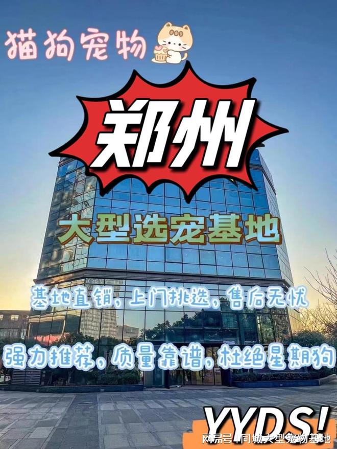 郑州哪里卖宠物猫狗的选择性多？这里专业安全可亲自挑选宠物(图1)