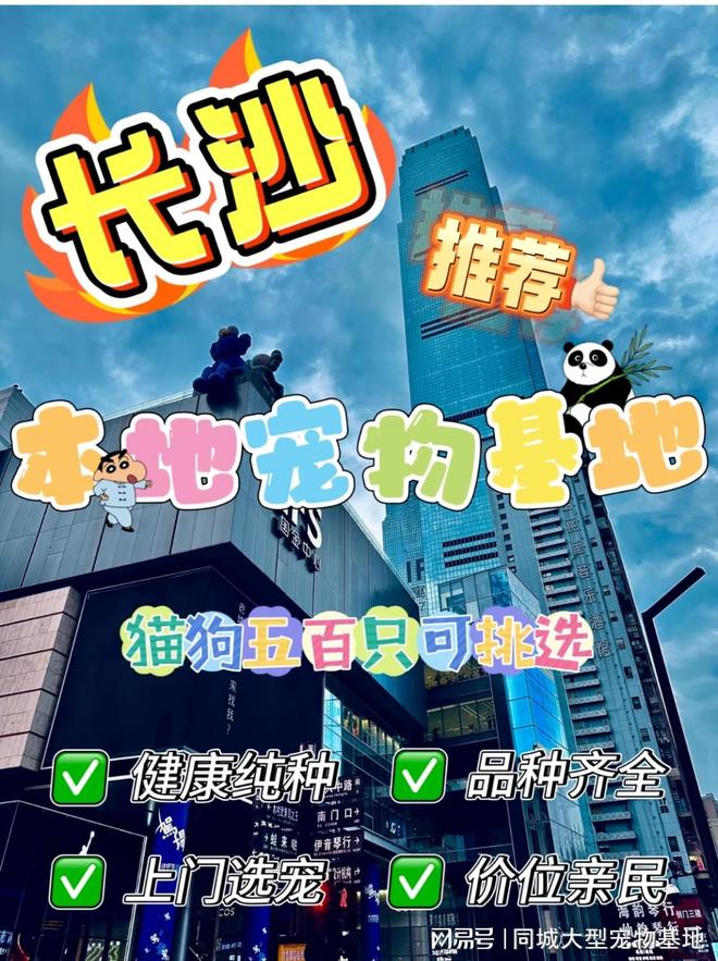 九游app：长沙最大的宠物市场在哪里？安全可靠可实体店挑选心仪的宠物！(图1)