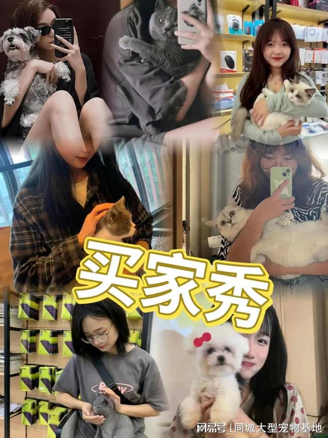 无锡哪里卖宠物猫狗的选择性多？这里安全可靠能挑选心仪的宠物(图5)